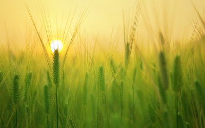 Depressione maggiore: le varie forme di trattamento