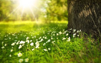 Effetti benefici della mindfulness sulla depressione maggiore