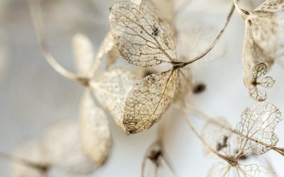 Il tema del fine vita: quando il paziente deve confrontarsi con la malattia terminale e con la morte